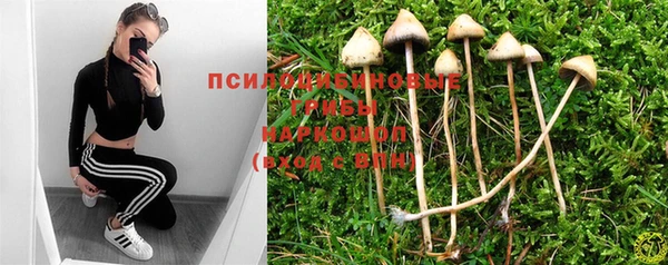 2c-b Алексеевка