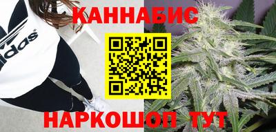 apvp Гудермес