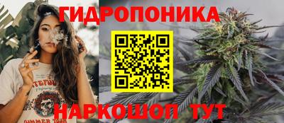 apvp Гудермес