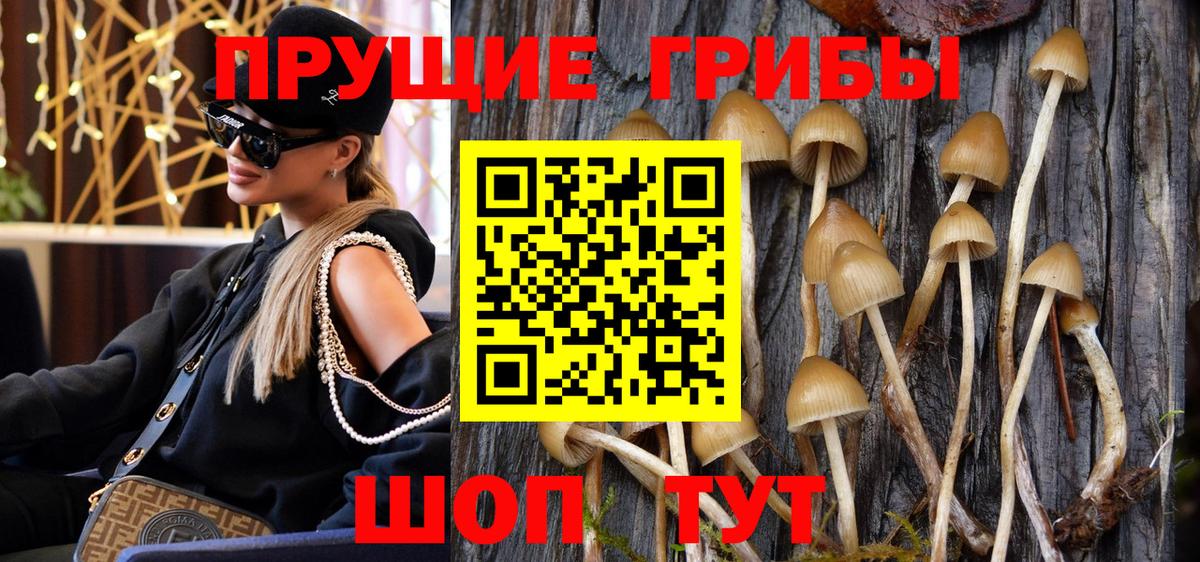 Лобня  Псилоцибиновые грибы прущие грибы  Псилоцибиновые грибы Cubensis  даркнет сайт  Вход с VPN 